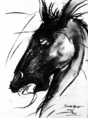 Horse Portrait 7
