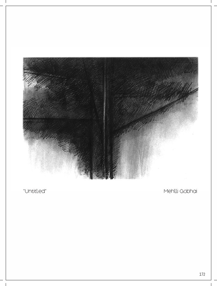 Untitled - Platography On Acid Proof Paper by Meheli Gobhai