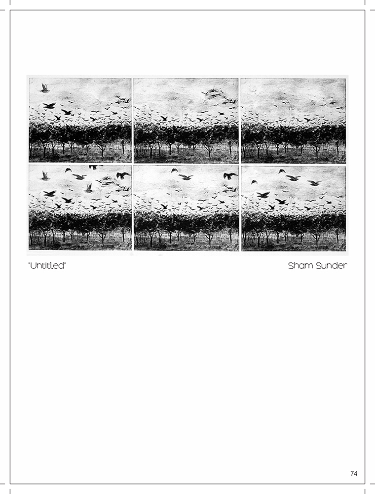 Untitled - Platography On Acid Proof Paper by Sham Sunder