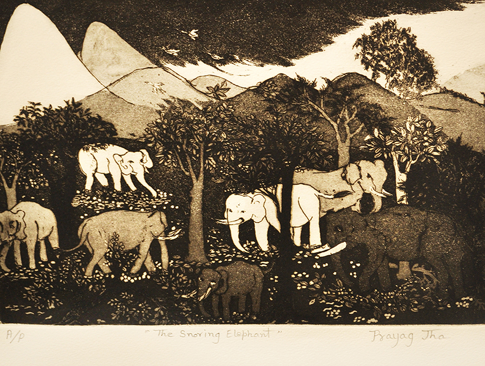 Elephant Jungle - Etching On Paper by Pragya Jha