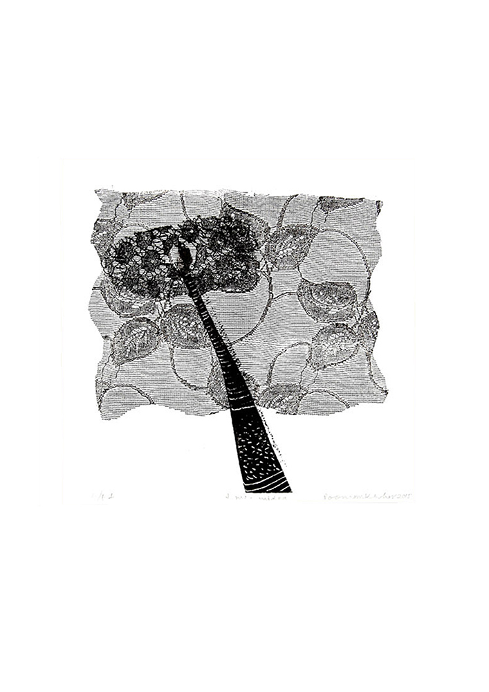 Flowers 2 - Platography On Paper by Poonam Kishor