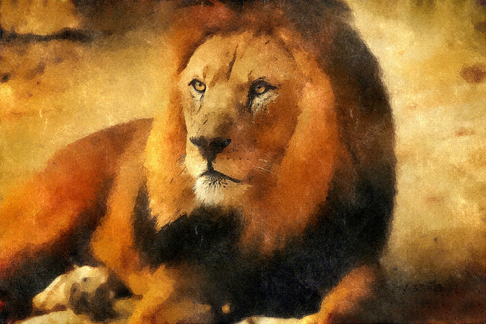 Lonely Lion - Acrylic On Canvas by Junaid Umar