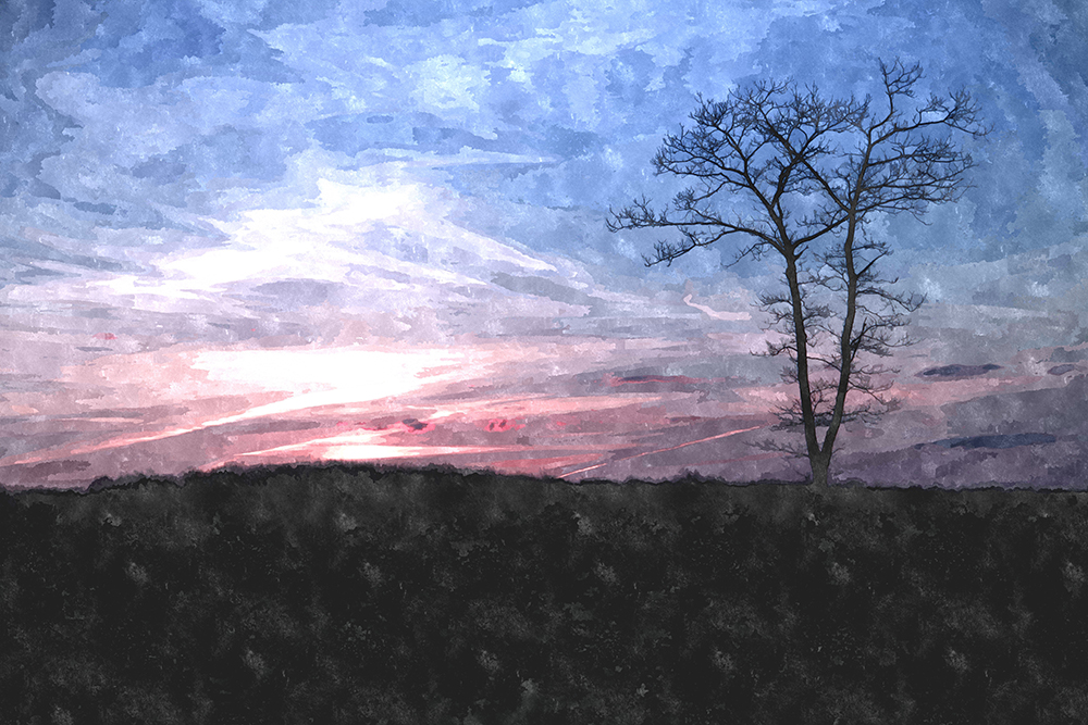 Landscape - Acrylic On Canvas by Junaid Umar